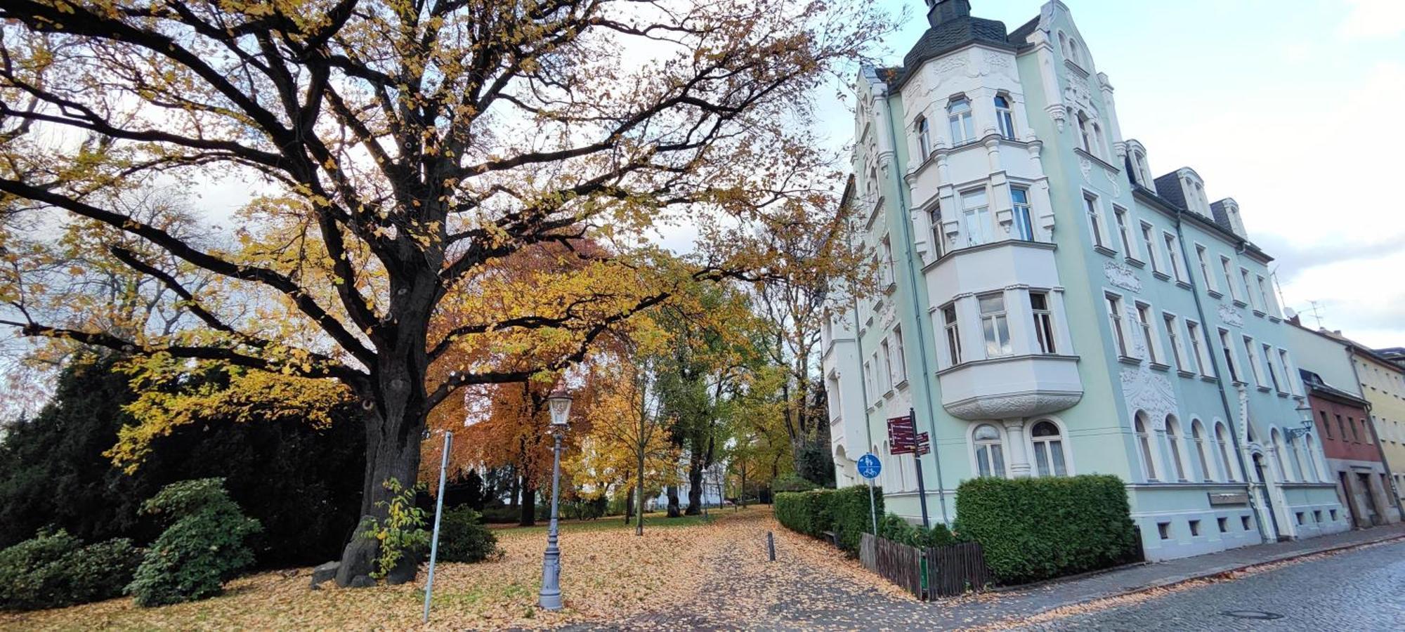 Ferienwohnung Romanze Zittau Exterior photo